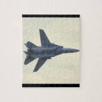 Grumman F-14D Tomcat / United States_Aviation Phot
