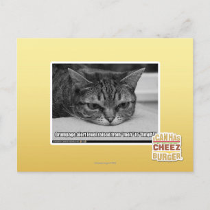 Grumpage Alert Postcard