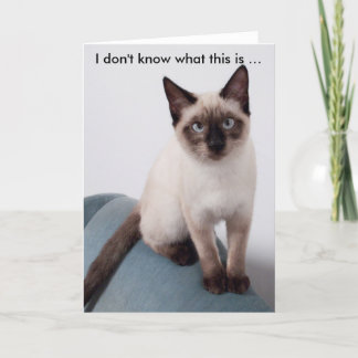 Grumpily looking cat on funny birthday card