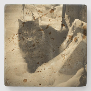 Grumpy Angel Cat in Snow Stone Coaster