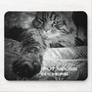 Grumpy Angel Cat wants your mouse Mat