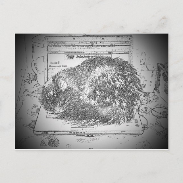 Grumpy Angel On A Laptop Lap cat? Postcard (Front)