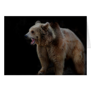 Grumpy Bear!