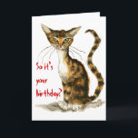 Grumpy brown tabby cat funny birthday card<br><div class="desc">You can change the text in this card if you'd like.  This image is also available on other products in my Zazzle store.</div>