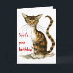 Grumpy brown tabby cat funny birthday card<br><div class="desc">You can change the text in this card if you'd like.  This image is also available on other products in my Zazzle store.</div>