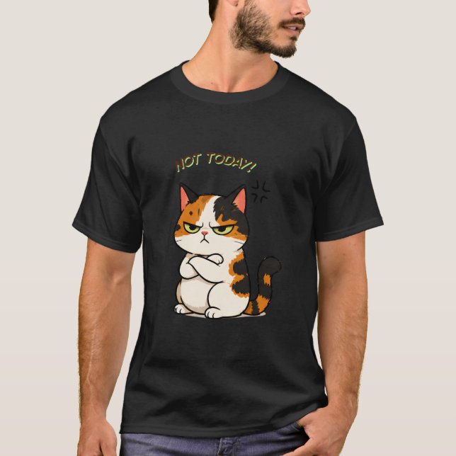 Grumpy Calico Cat - Not Today T-Shirt (Front)