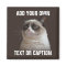 Grumpy Cat - Add your own text