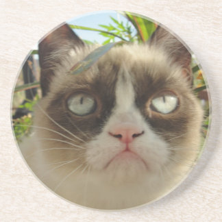 Grumpy Cat Coasters