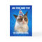 Grumpy Cat Customizeable Happy Birthday