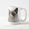 Grumpy Cat ™ - Grumpy Cat and Pokey Mug