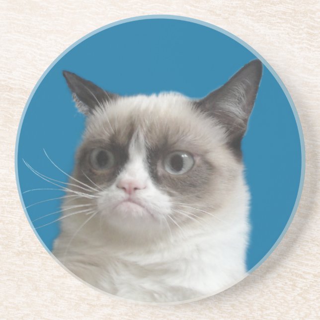 Grumpy Cat Grumpy Stare Coasters (Front)