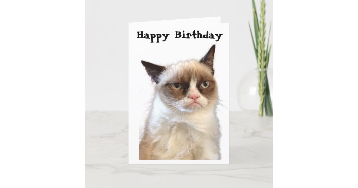 Grumpy Cat Happy Birthday Card Zazzle Co Uk