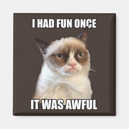 Image of Grumpy Cat - I had fun once Magnet