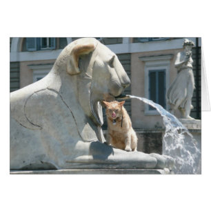 Grumpy Cat in Rome, Fountain in Piazza