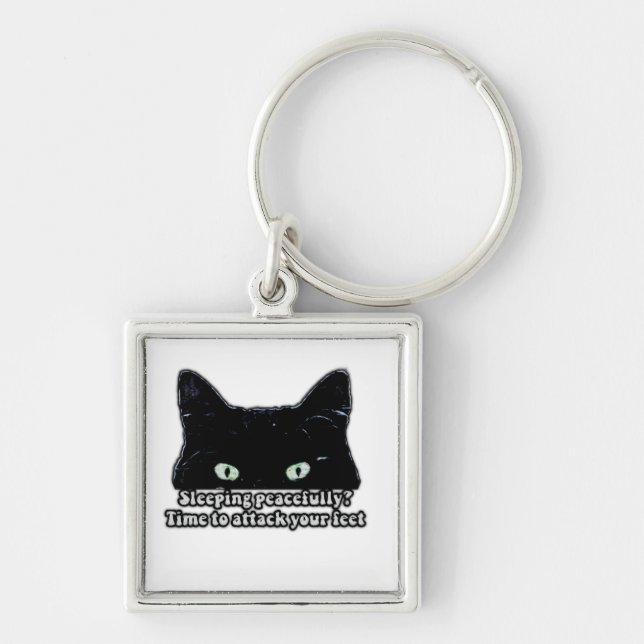 Grumpy cat meme for cat lovers and kitten owners key ring (Front)