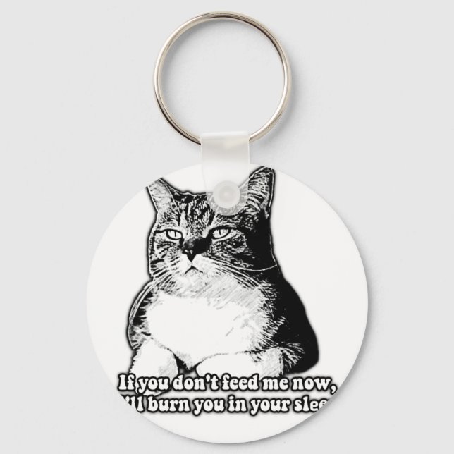 Grumpy cat meme for cat lovers and owners key ring (Front)