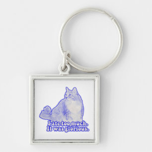 Grumpy cat meme for cat owners and kitten lovers key ring