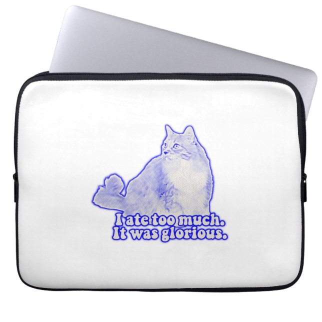 Grumpy cat meme for cat owners and kitten lovers laptop sleeve (Front)