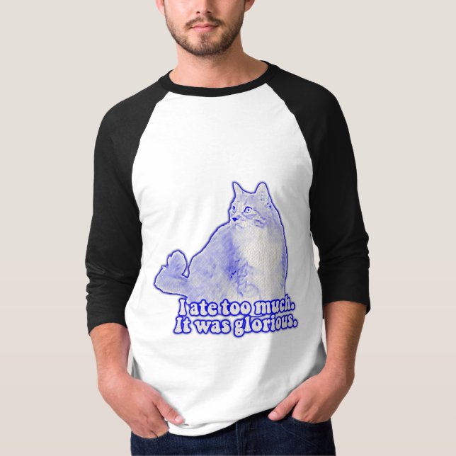 Grumpy cat meme for cat owners and kitten lovers T-Shirt (Front)