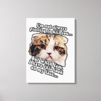 Grumpy cat meme for cat owners and kitty lovers