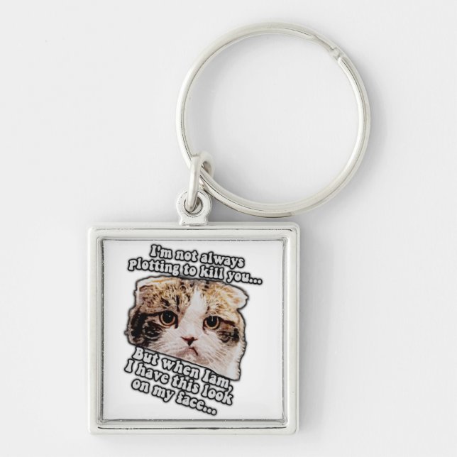 Grumpy cat meme for cat owners and kitty lovers key ring (Front)