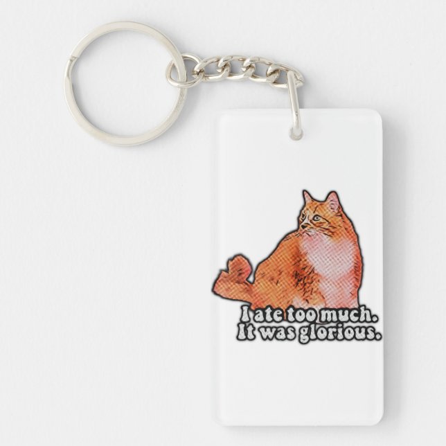 Grumpy cat meme for cat persons and kitten lovers key ring (Front)