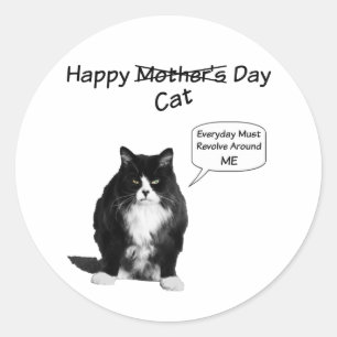Grumpy Cat Mother's Day Round Stickers