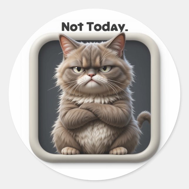 Grumpy Cat "Not Today" Craft Sticker – Funny Mood (Front)