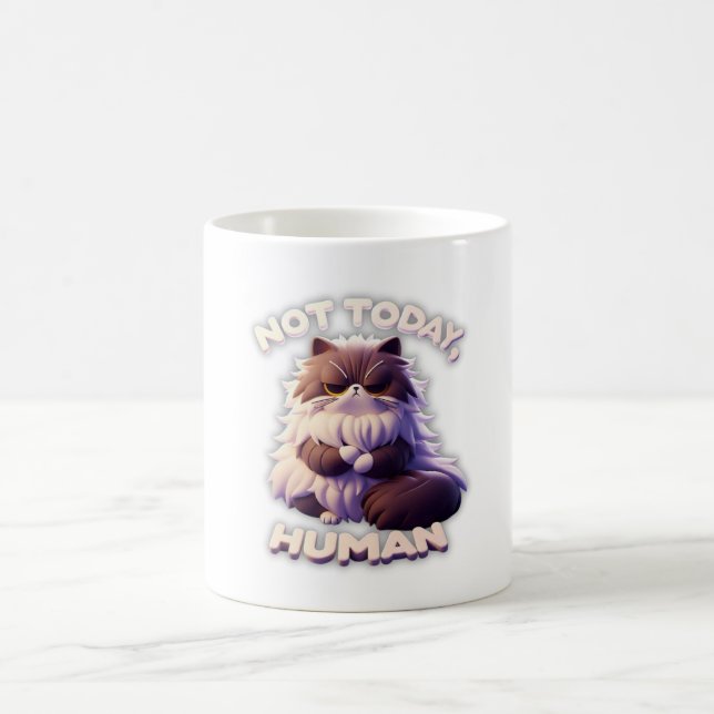 Grumpy Cat “Not Today, Human” Funny Coffee Mug (Center)