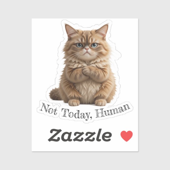 Grumpy Cat "Not Today, Human" Funny Pet Meme (Sheet)