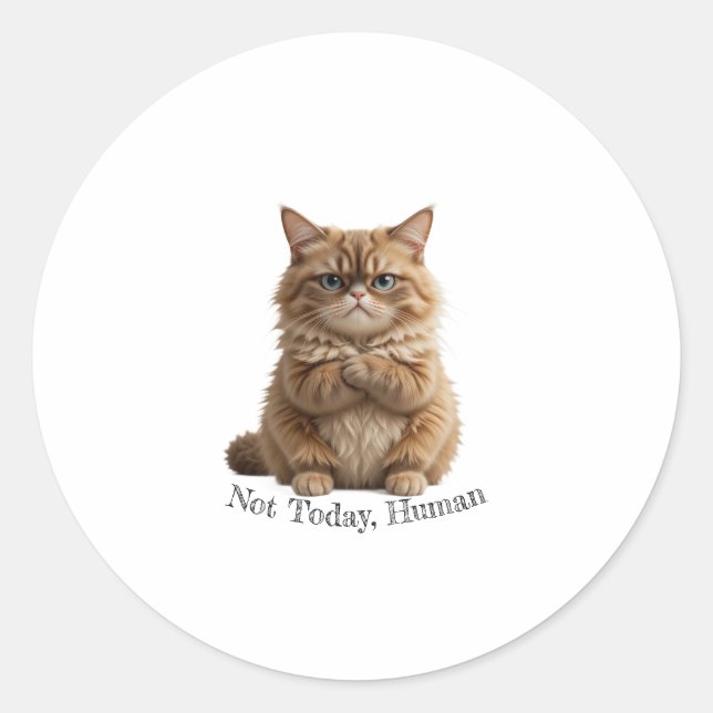 Grumpy Cat "Not Today, Human" Sticker Funny Fluffy (Front)