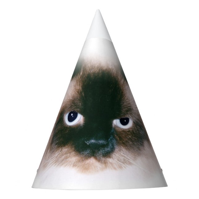 Grumpy Cat Party Hat (Front)