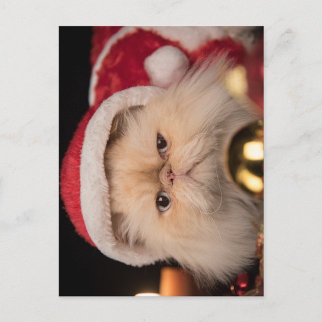 Grumpy Cat Santa Postcard (Front)