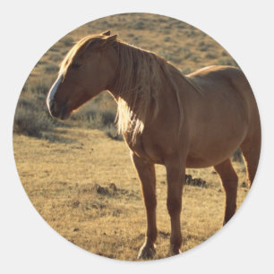 Grumpy Chestnut Classic Round Sticker