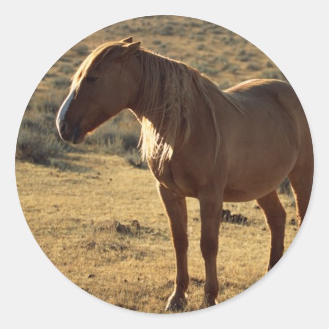 Grumpy Chestnut Classic Round Sticker (Front)