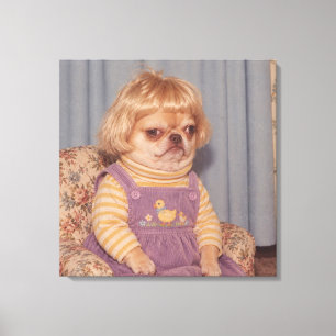 Grumpy Chihuahua's Retro Picture Day Portrait Canvas Print