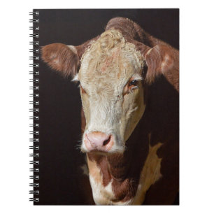 Grumpy Cow Notebook