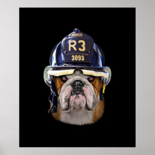 Grumpy English Bulldog Wearing Firefighter Helmet Poster