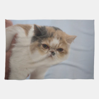 Grumpy Face Cat Tea Towel