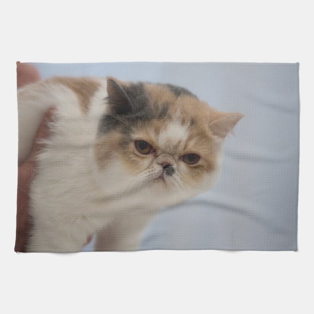 Grumpy Face Cat Tea Towel (Horizontal)