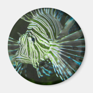 Grumpy Fish Magnet
