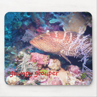grumpy grouper mouse mat
