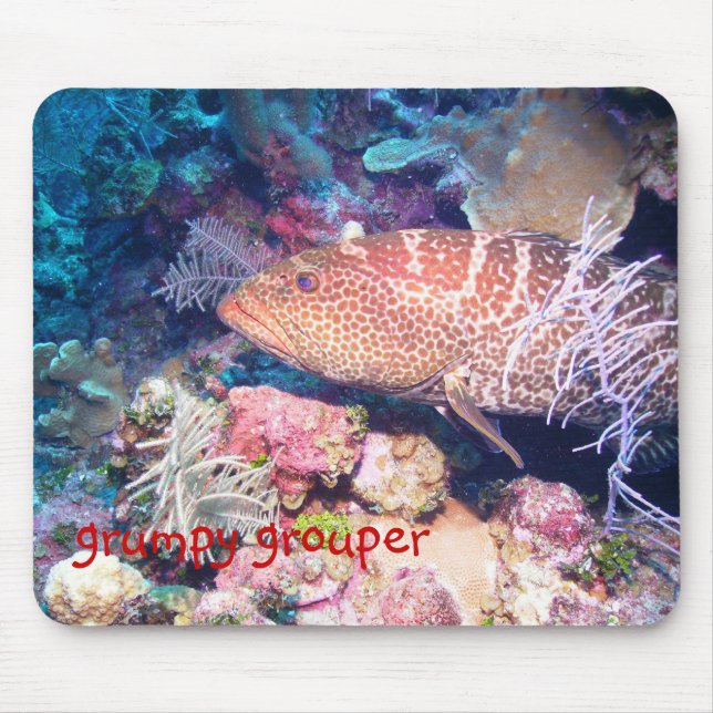 grumpy grouper mouse mat (Front)
