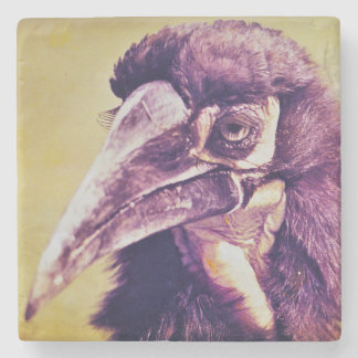 Grumpy hornbill wild life coaster