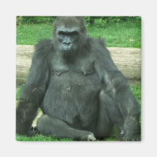 Grumpy Lowland Gorilla Magnet