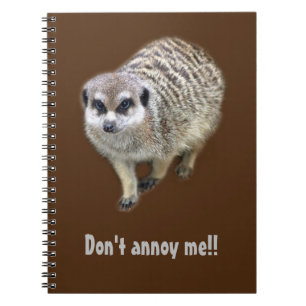 Grumpy meerkat notebook