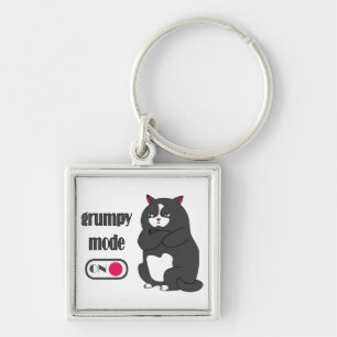 Grumpy mode on funny fat cat key ring