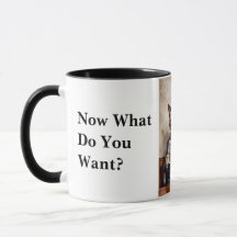 Grumpy Office Cat Reading the Newspaper