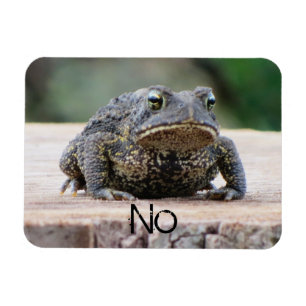 Grumpy Old Toad on a Stump Magnet
