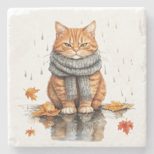 Grumpy Orange Cat in Rain Stone Coaster